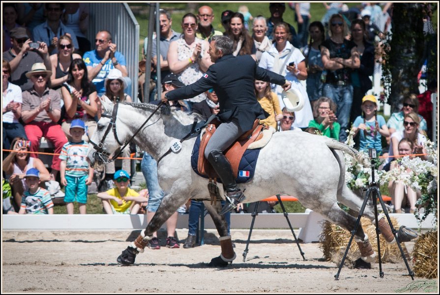 Pferd International 085